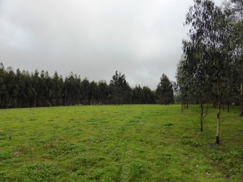 Lot 202 Munetta Road, Pages Flat SA 5172