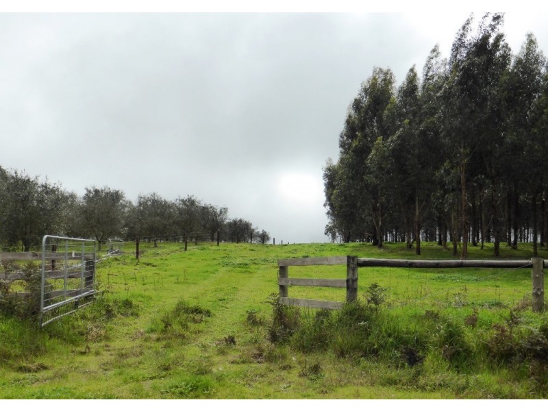 Lot 202 Munetta Road, Pages Flat SA 5172