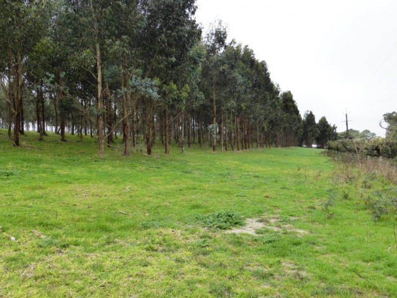 Lot 202 Munetta Road, Pages Flat SA 5172