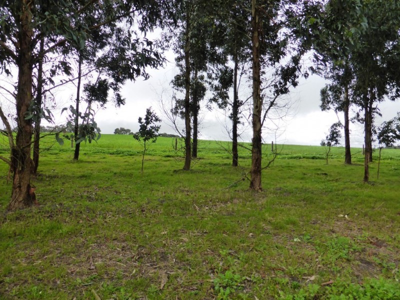 Lot 202 Munetta Road, Pages Flat SA 5172