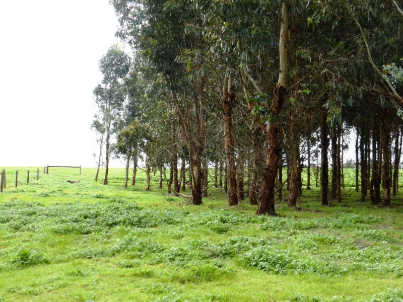 Lot 202 Munetta Road, Pages Flat SA 5172