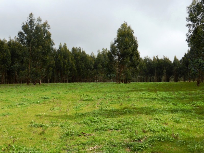 Lot 202 Munetta Road, Pages Flat SA 5172