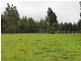 Lot 202 Munetta Road, Pages Flat SA 5172