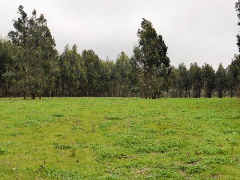 Lot 202 Munetta Road, Pages Flat SA 5172