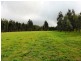 Lot 202 Munetta Road, Pages Flat SA 5172