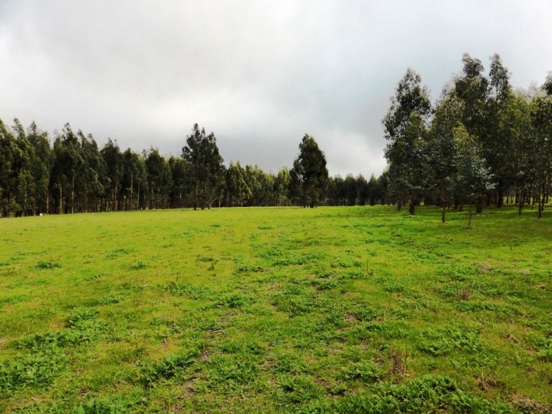 Lot 202 Munetta Road, Pages Flat SA 5172
