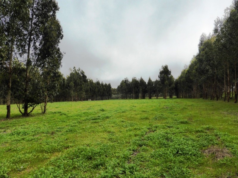 Lot 202 Munetta Road, Pages Flat SA 5172