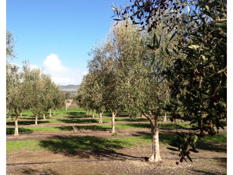 Lot 3 Main South Rd, Sellicks Hill SA 5174