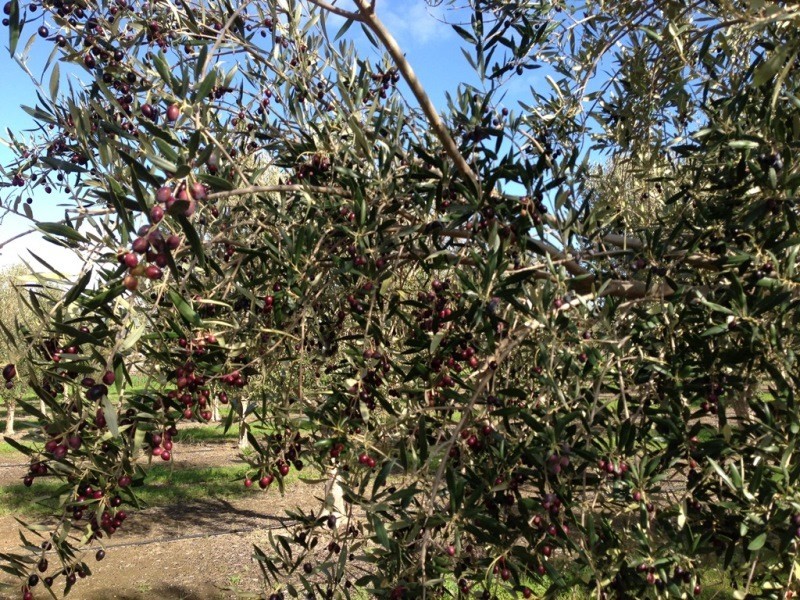 Lot 3 Main South Rd, Sellicks Hill SA 5174