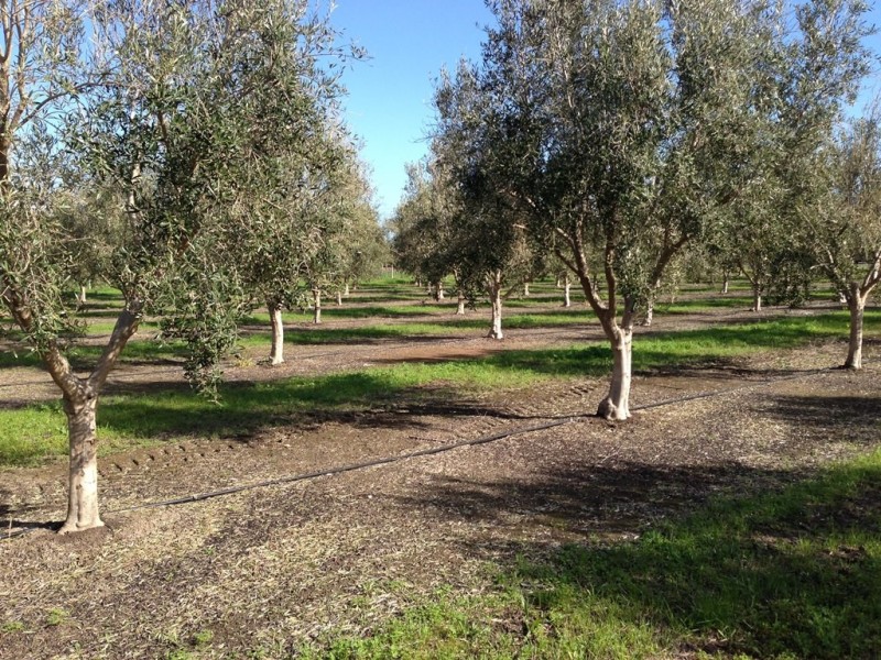 Lot 3 Main South Rd, Sellicks Hill SA 5174