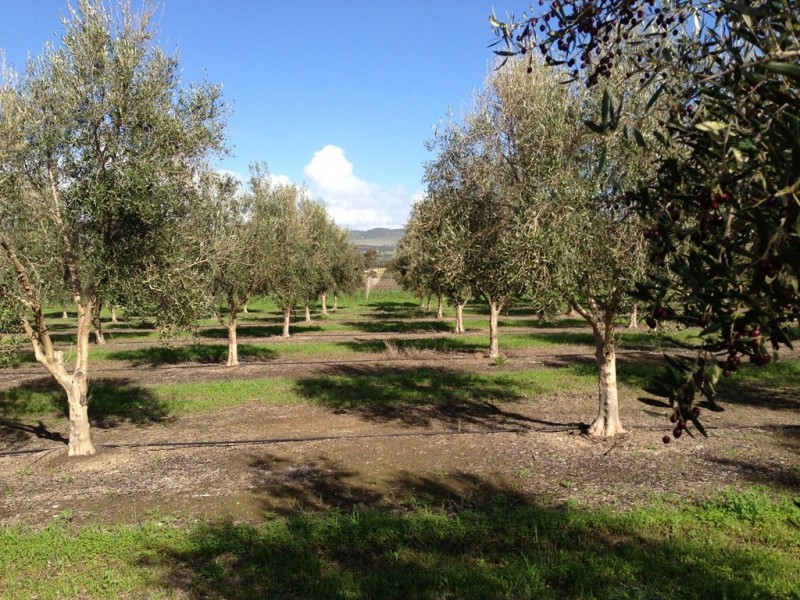 Lot 3 Main South Rd, Sellicks Hill SA 5174