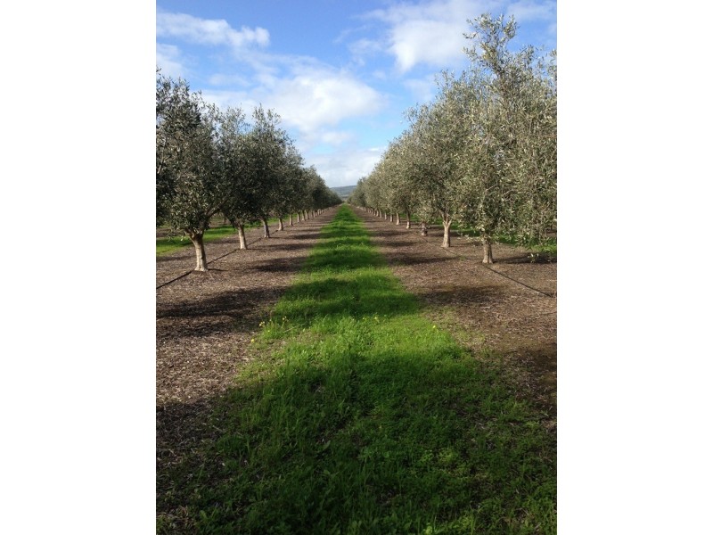 Lot 3 Main South Rd, Sellicks Hill SA 5174