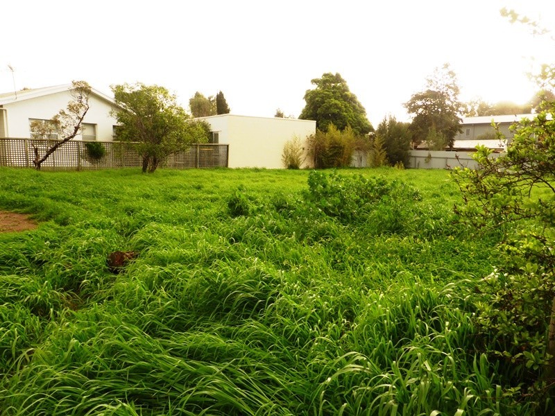 3 East Street, Port Willunga SA 5173