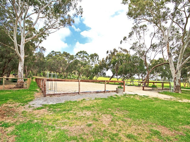 12 Thomas Hill Road, Mclaren Vale SA 5171
