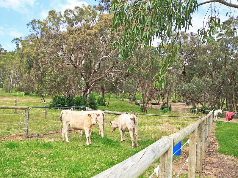 12 Thomas Hill Road, Mclaren Vale SA 5171