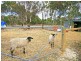 1 Sumner Street, Goolwa SA 5214