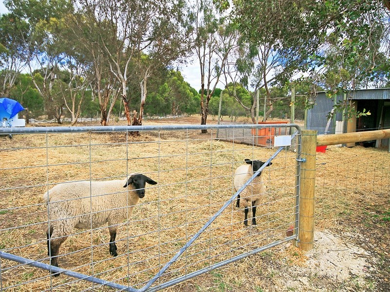 1 Sumner Street, Goolwa SA 5214