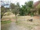 18 Norman Road, Willunga SA 5172
