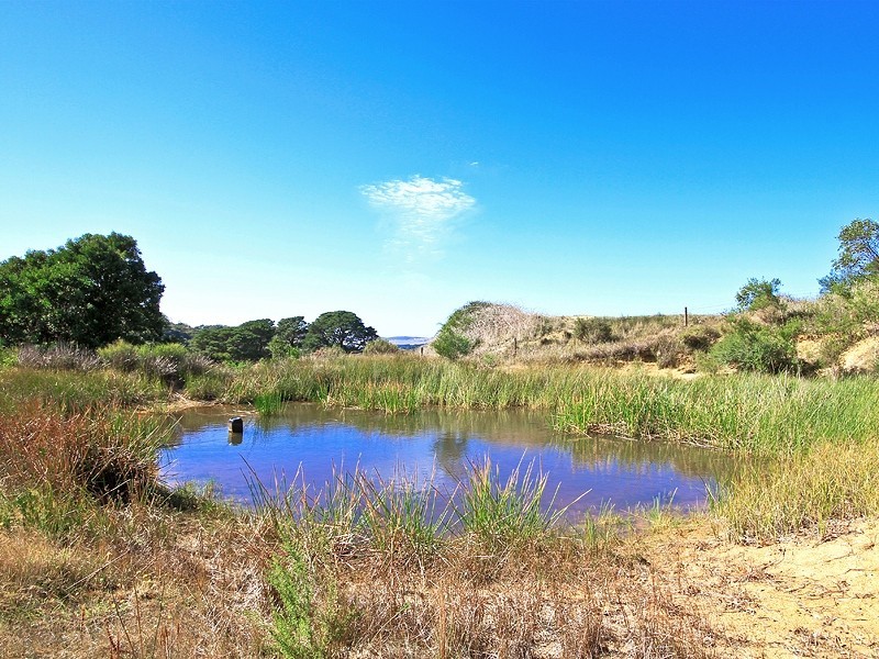 2116 Victor Harbor Road, Mount Compass SA 5210