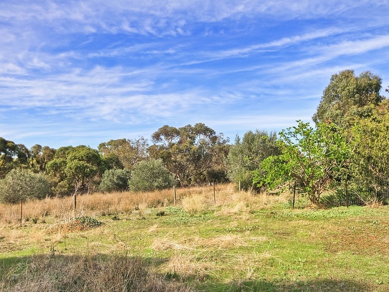 28 Craven Road, Mclaren Vale SA 5171