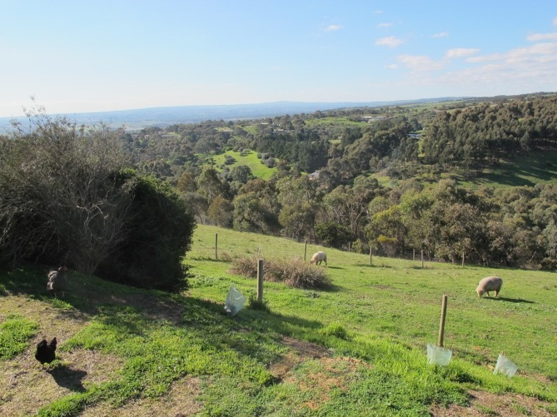 85 Bangor Road, Willunga South SA 5172