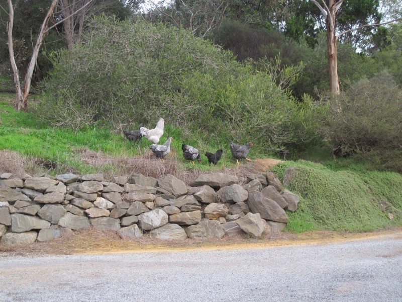 85 Bangor Road, Willunga South SA 5172