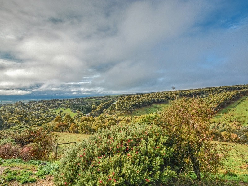 85 Bangor Road, Willunga South SA 5172