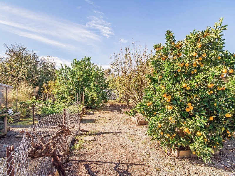 109 Main Road, Mclaren Flat SA 5171