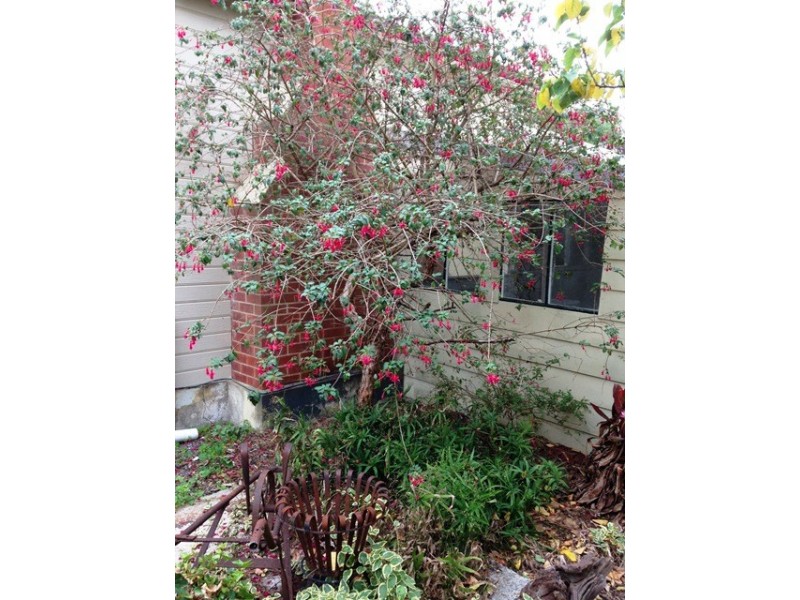 765 Pages Flat Road, Myponga SA 5202