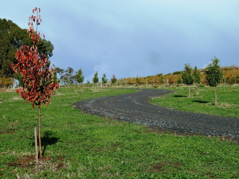 Lot 3, 212 Seaview Road, Mclaren Vale SA 5171