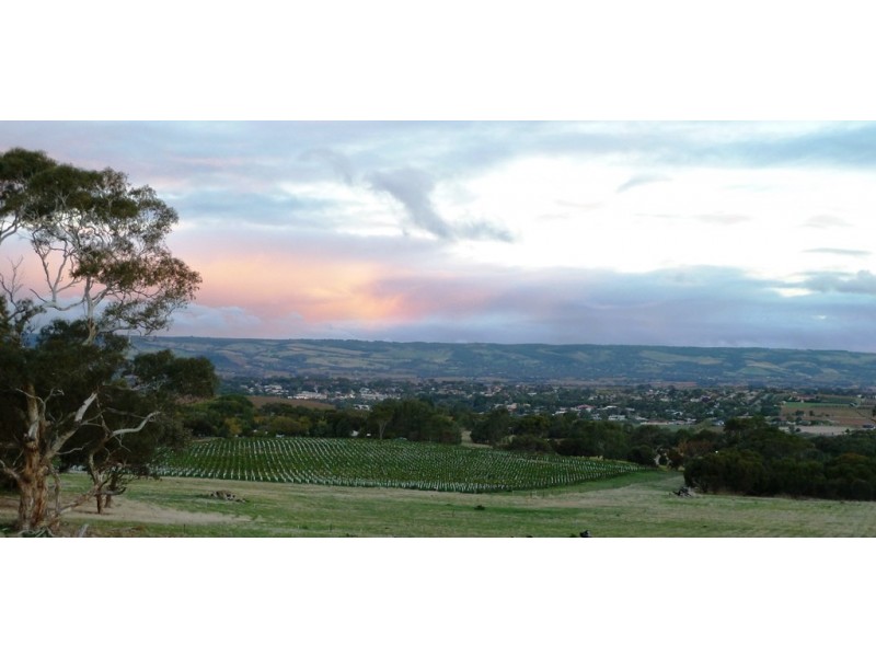 Lot 3, 212 Seaview Road, Mclaren Vale SA 5171
