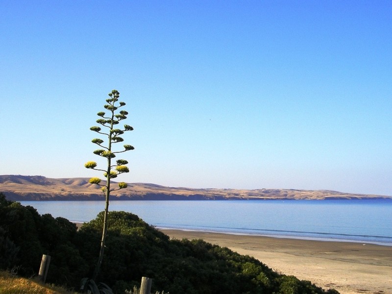 Lot 3, 212 Seaview Road, Mclaren Vale SA 5171