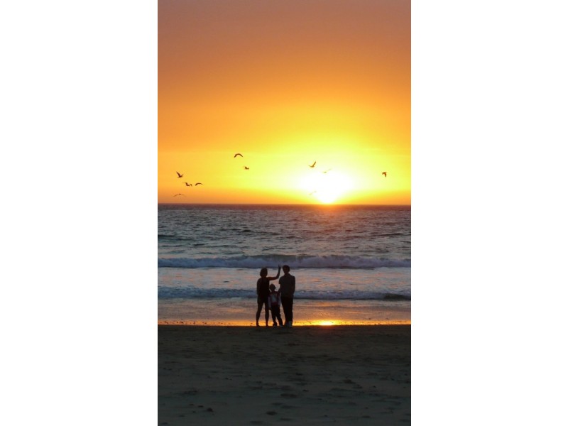 Lot 3, 212 Seaview Road, Mclaren Vale SA 5171