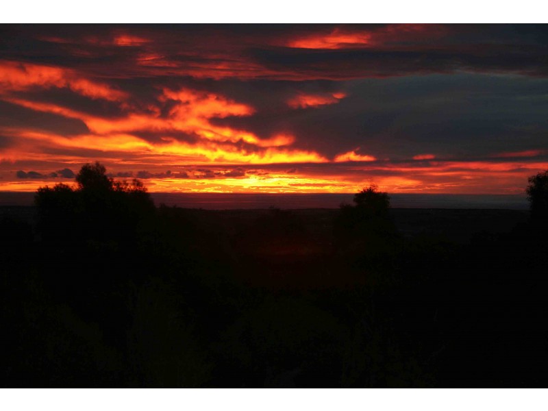 115 Taylors Hill Road, Willunga SA 5172