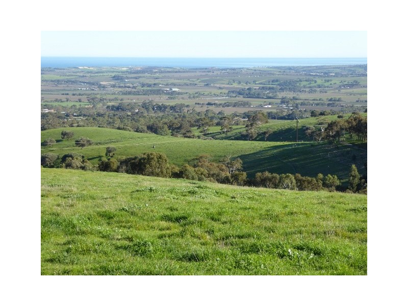 115 Taylors Hill Road, Willunga SA 5172