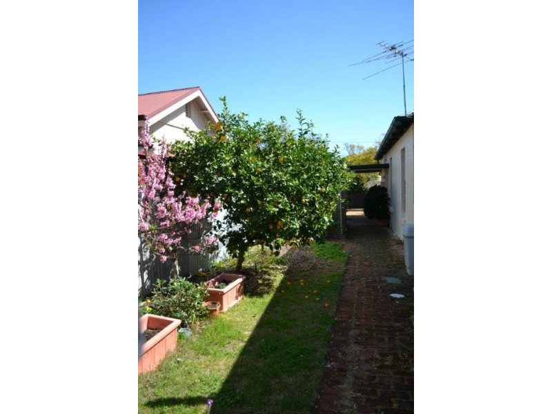 3 Cootra Avenue, Fullarton SA 5063