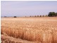 Lot 2 Bowering Hill Road, Port Willunga SA 5173
