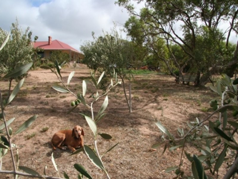 Lot 5 Sherriff Road, Maslin Beach SA 5170