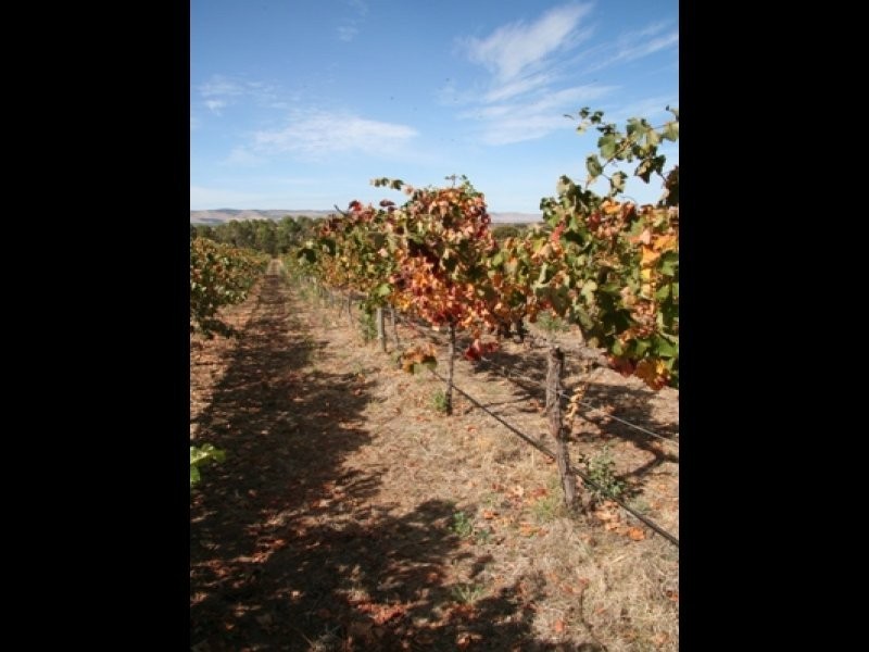 Lot 5 Sherriff Road, Maslin Beach SA 5170