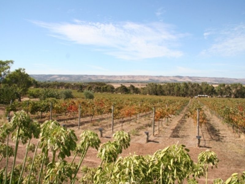 Lot 5 Sherriff Road, Maslin Beach SA 5170