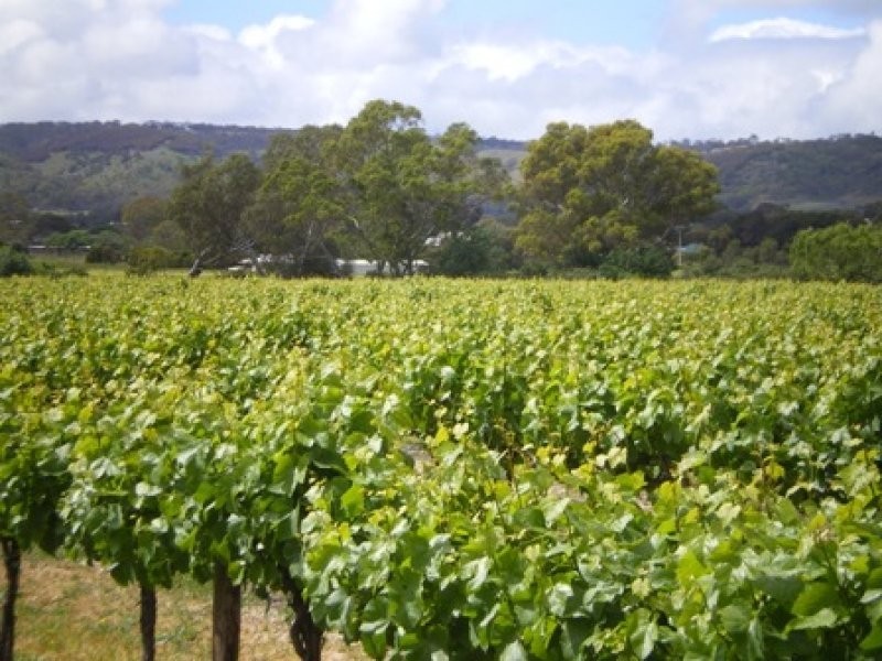 Lot 30 Blewitt Springs Road, Mclaren Flat SA 5171