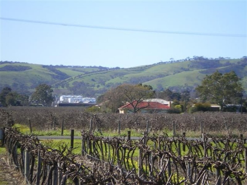 Lot 30 Blewitt Springs Road, Mclaren Flat SA 5171