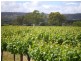 Lot 30 Blewitt Springs Road, Mclaren Flat SA 5171