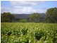 Lot 30 Blewitt Springs Road, Mclaren Flat SA 5171
