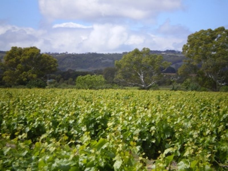 Lot 30 Blewitt Springs Road, Mclaren Flat SA 5171