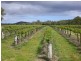 Lot 30 Blewitt Springs Road, Mclaren Flat SA 5171