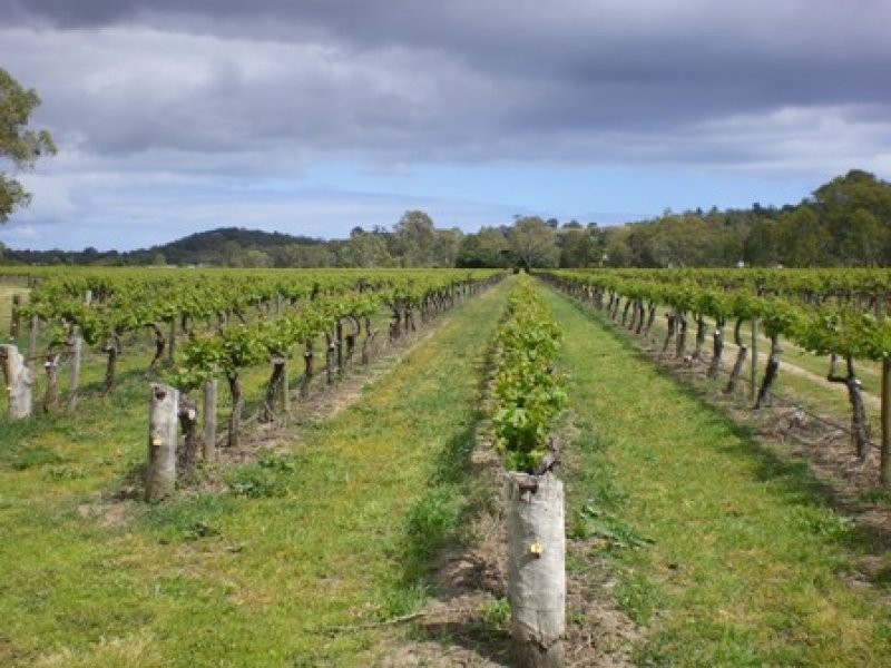 Lot 30 Blewitt Springs Road, Mclaren Flat SA 5171