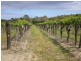 Lot 30 Blewitt Springs Road, Mclaren Flat SA 5171
