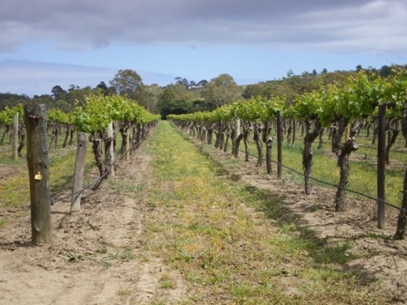 Lot 30 Blewitt Springs Road, Mclaren Flat SA 5171