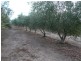 Lot 4 McMurtrie Road, Mclaren Vale SA 5171